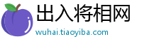 出入将相网