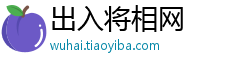 出入将相网